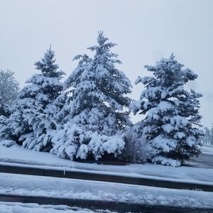 Meet your Posher, Krista